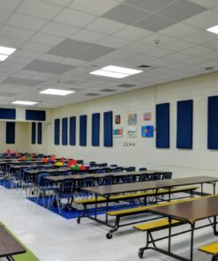 school cafeteria acoustic panels